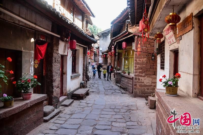 哥伦比亚山火持续一周：超2.5万公顷土地被烧焦 政府请求国际援助